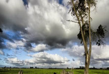 怎么在线直播观看CBA？CBA直播吧靠谱吗？